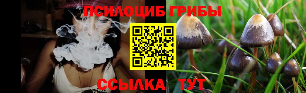 Псилоцибиновые грибы Cubensis  Вход с VPN  Галлюциногенные грибы Psilocybine cubensis  Сосновый Бор 